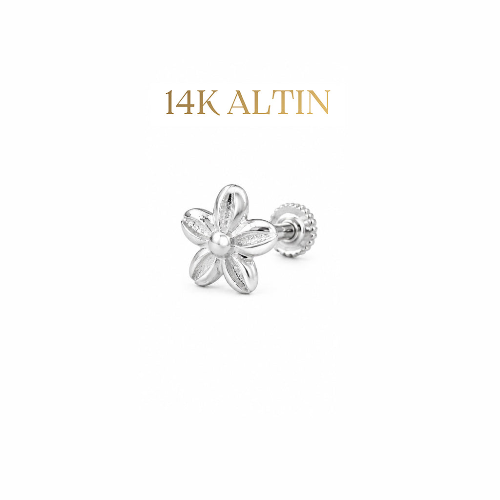 14K Papatya Piercing