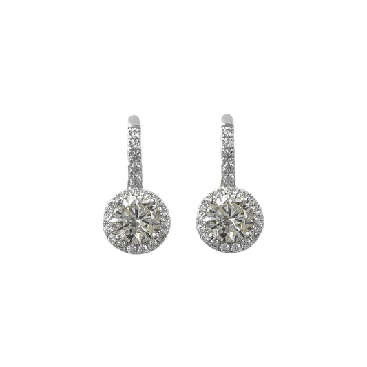 Plastered Model Moissanite Earrings