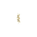 Edelstein-Inci-Design-Piercing